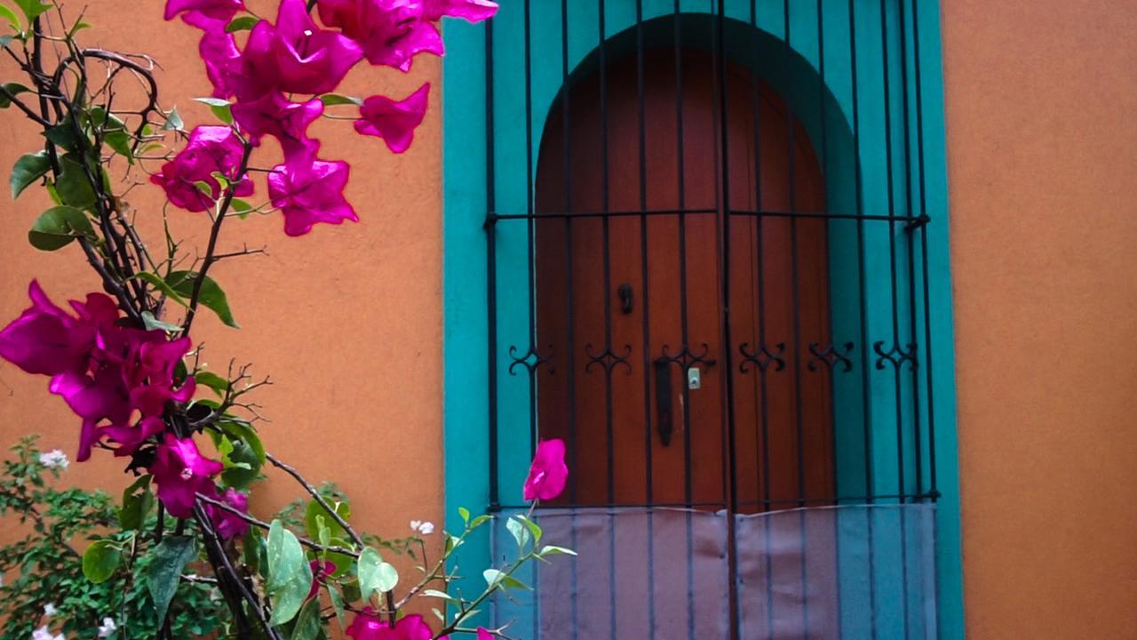 Casa Frida B&B Oaxaca ภายนอก รูปภาพ