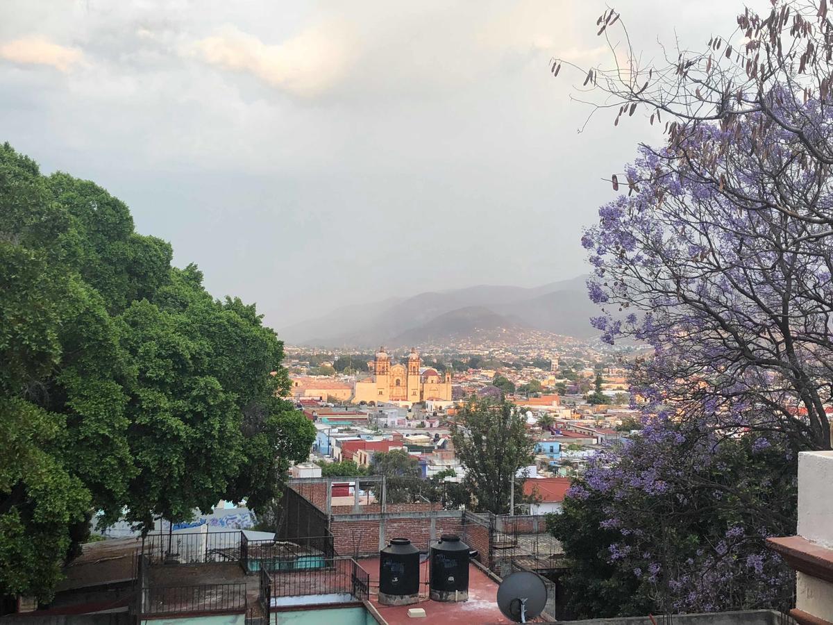 Casa Frida B&B Oaxaca ภายนอก รูปภาพ